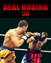 Real Boxing 3D (176x220)